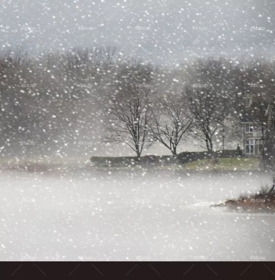 Snowy morning on the river