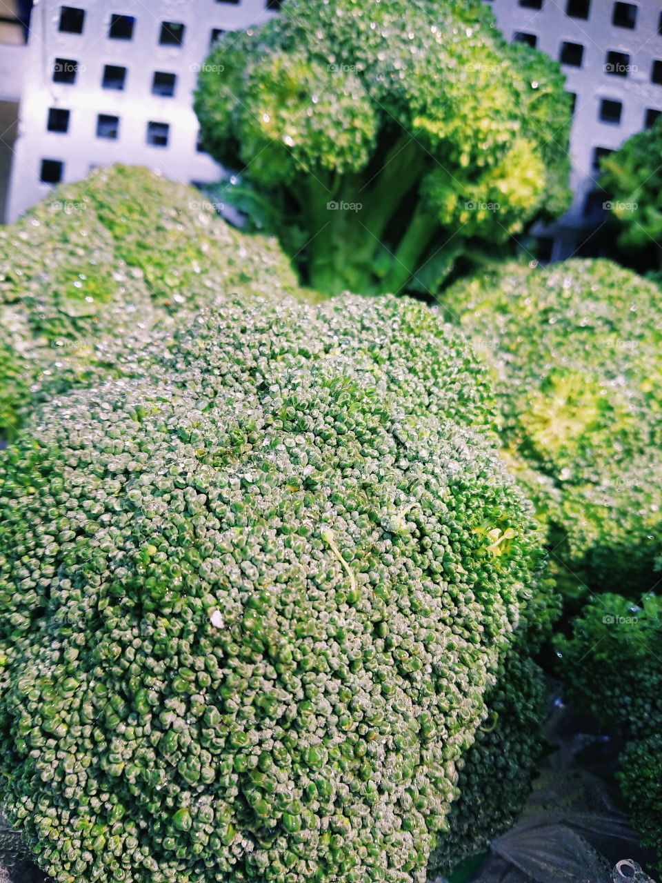 Broccoli with water spray.