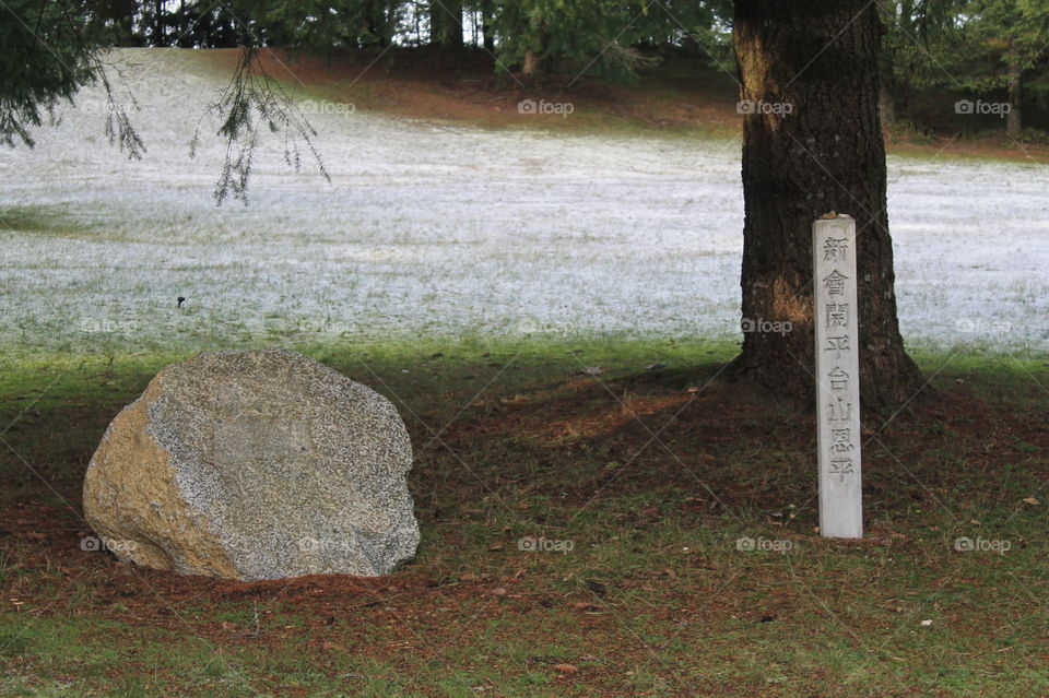 A white rock, an old tree and a stone marker on a frosty morning at a Japanese -Chinese cemetary. I would love to know what the marker says if someone could translate???