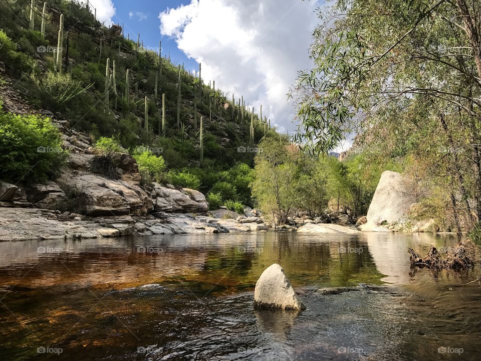 Nature Mountain Landscape - Sabino Canyon in Tucson, Arizona 