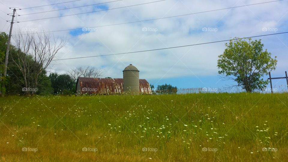 Farmland. Barn with Silo