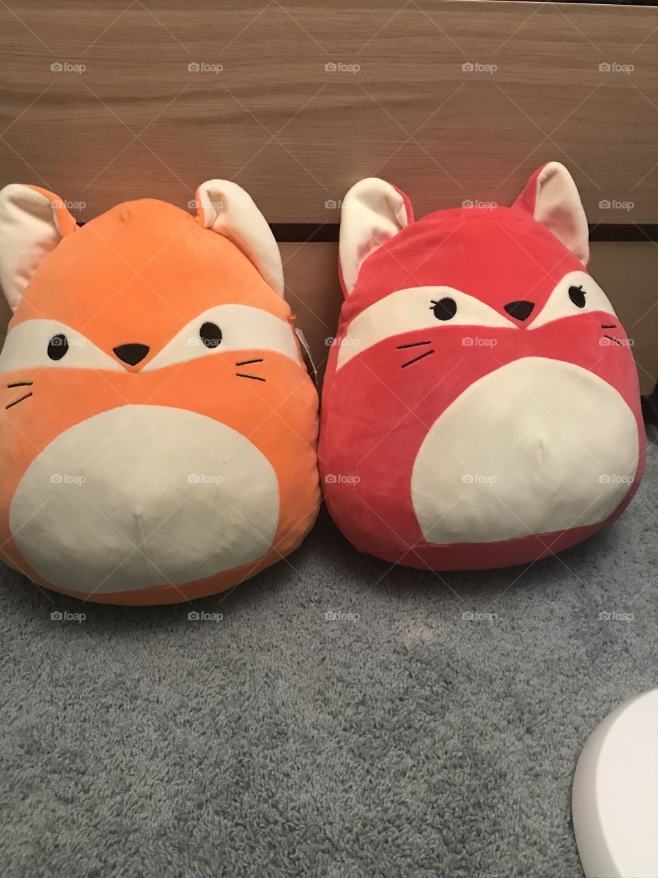 Two stuffed animals