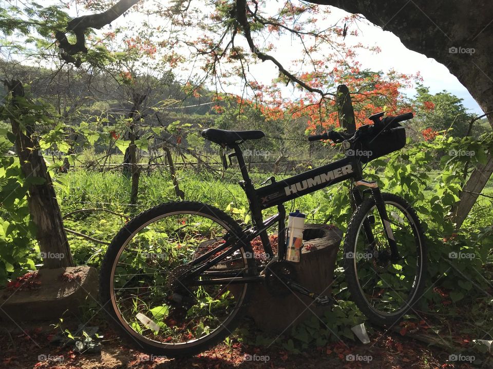 Montainbike. Brasil 🇧🇷