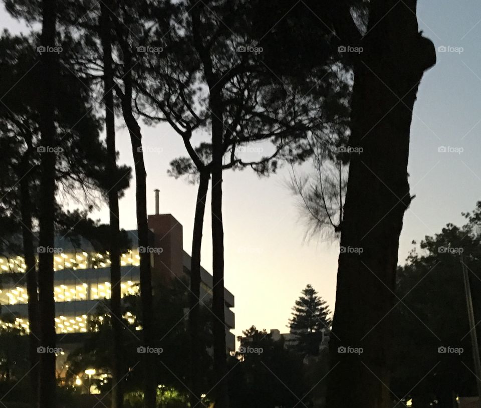 Campus after sunset