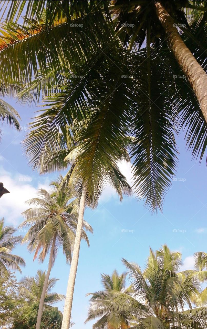 Good morning View location