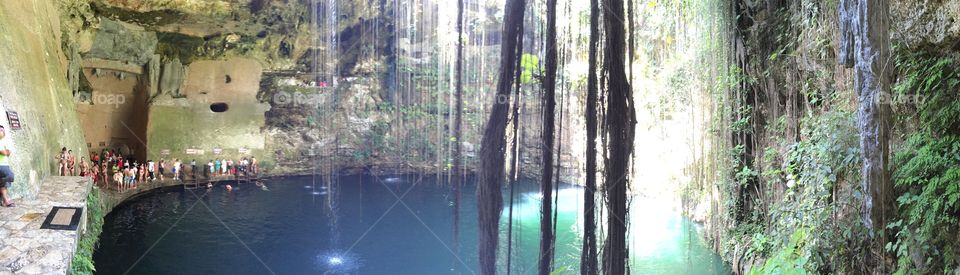 Wood, Nature, Water, Tree, Landscape