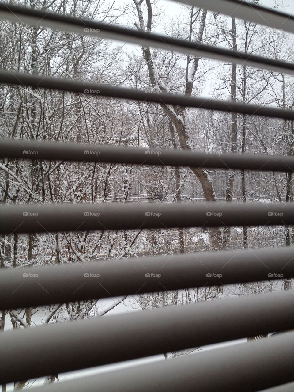 Winter Through The Blinds
