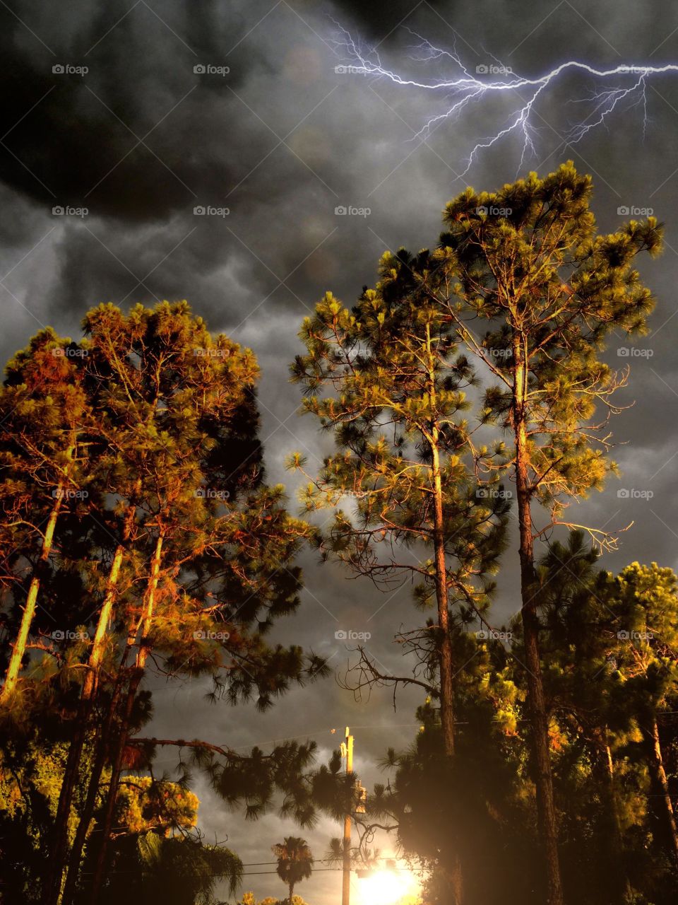 Lightning storm . Lightning storm