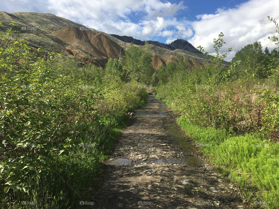 Beautiful evening hike 