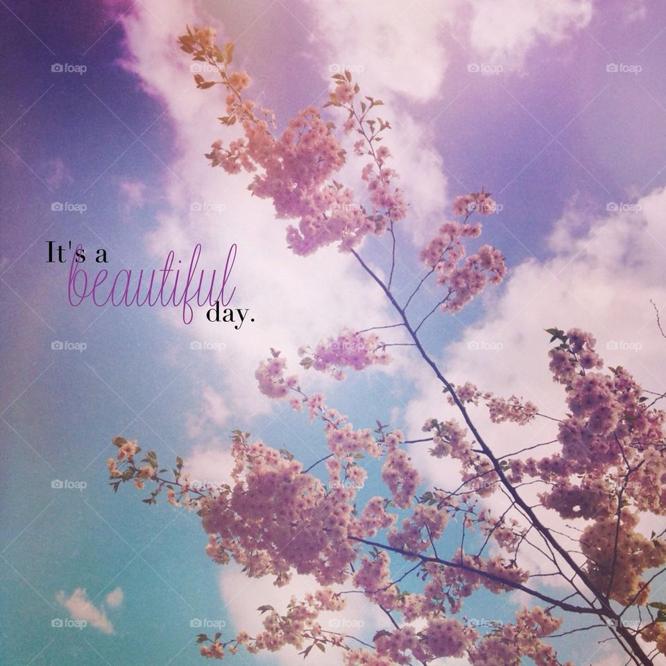 It's a beautiful day