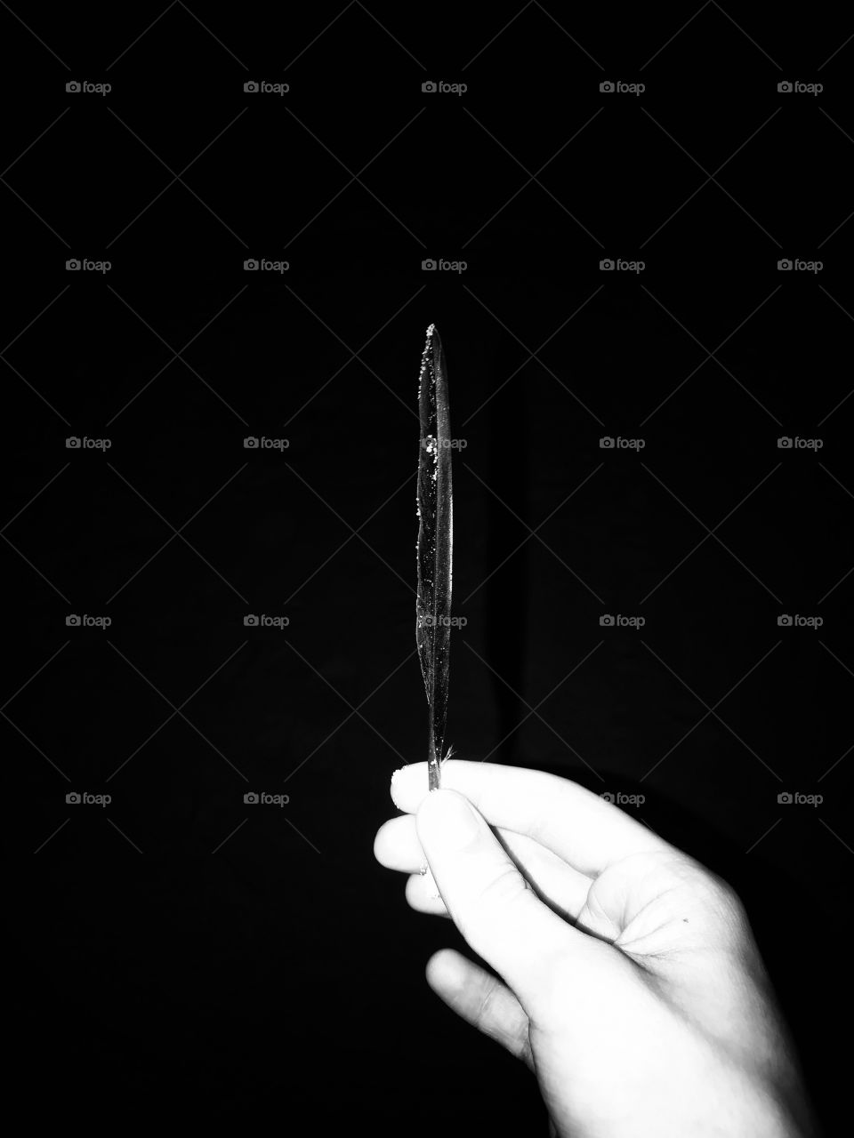 In the shadows - a place many are afraid to be, but the one place to see the big picture in life with no distractions. 