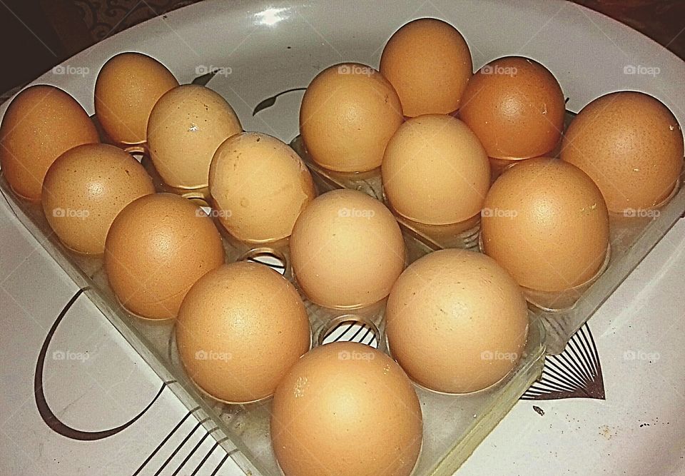 Chicken Eggs side view