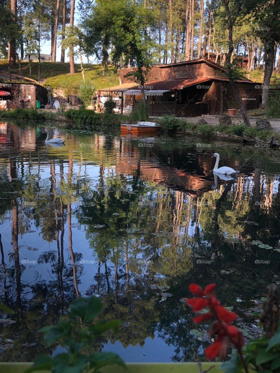 The lake of nature