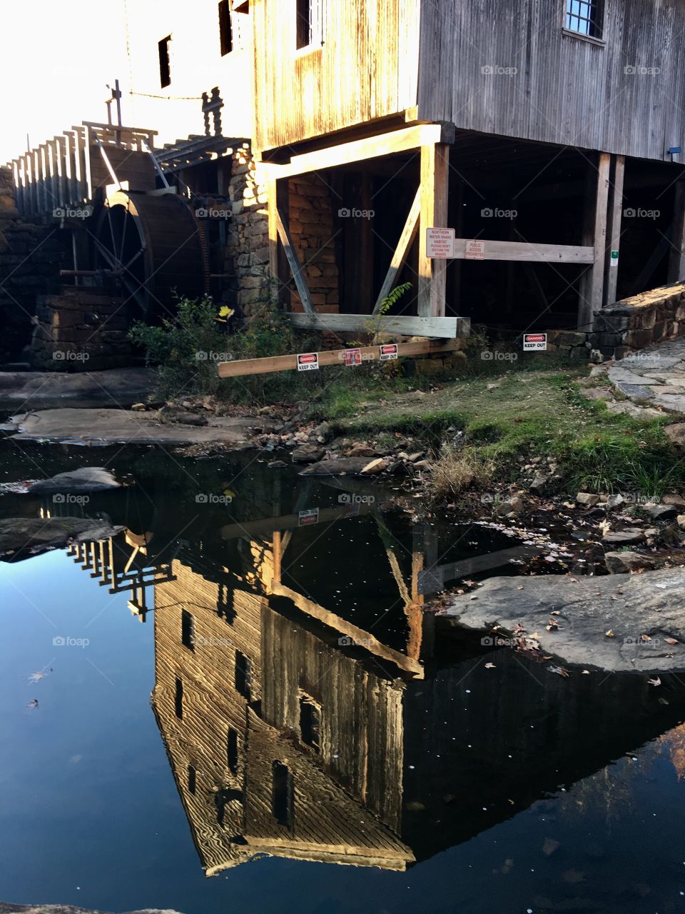 Yates Mill Reflection 