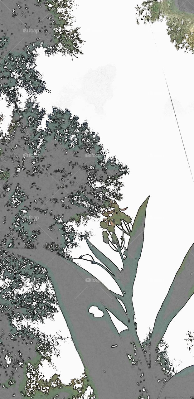 cartoon effect flowers trees garden