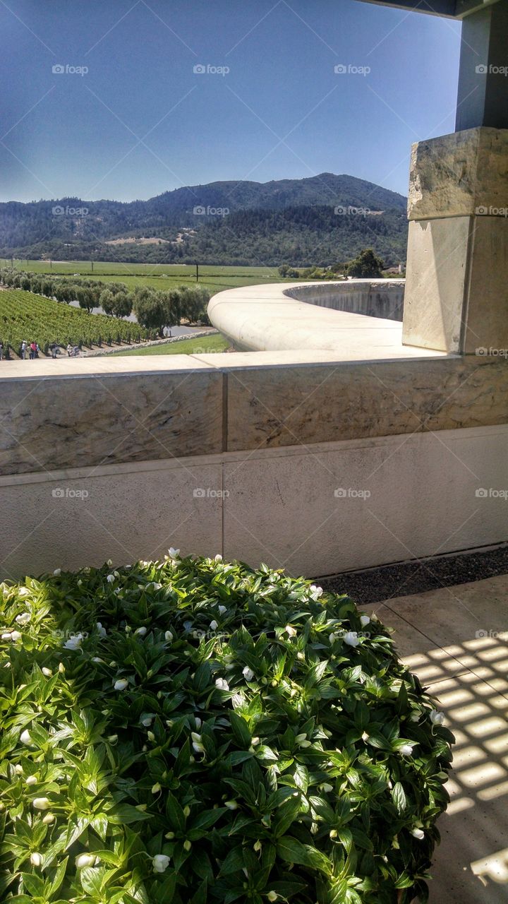 Opus One Winery roof top