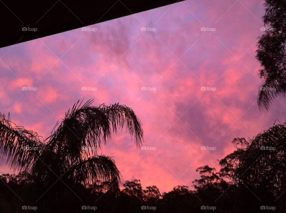 Pink cloudy sunset sky