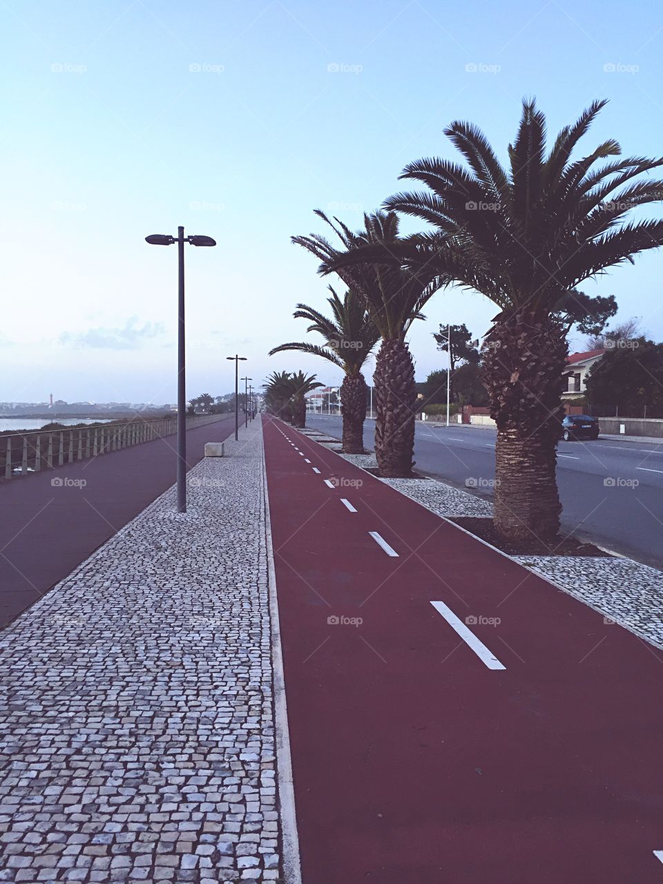 Special road for bicycles and jogging along the river