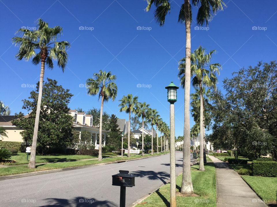 Celebration Florida