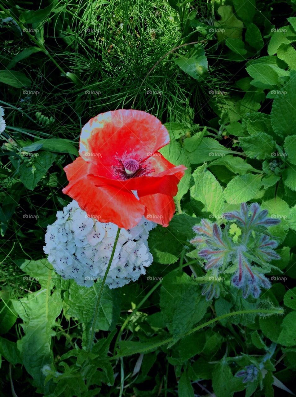 Party for three please