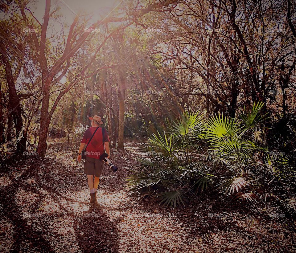Man walking through a beautiful sunlit forest.