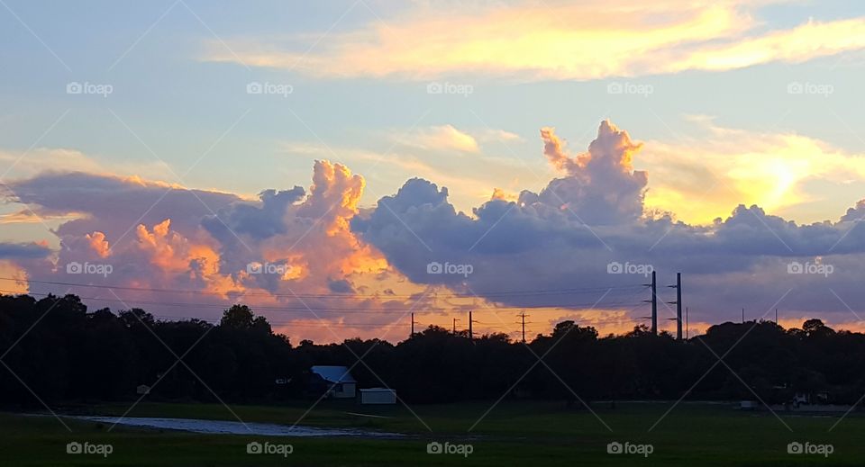 Sunset, No Person, Landscape, Tree, Dawn