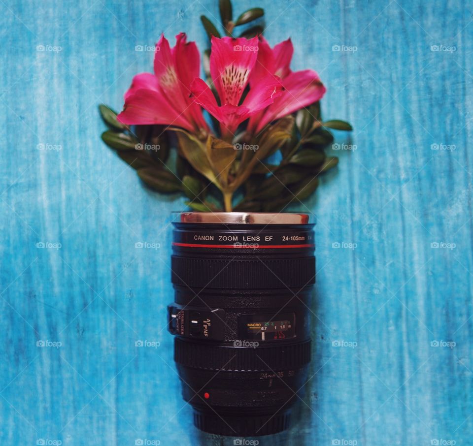 Flowers in lens
