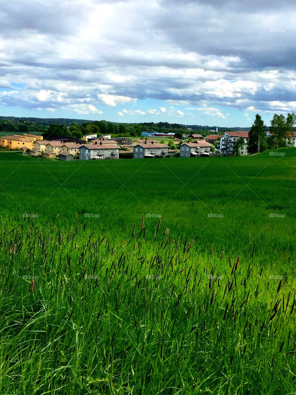 Roof houses against cloudy sky