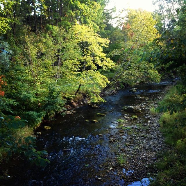 Nature