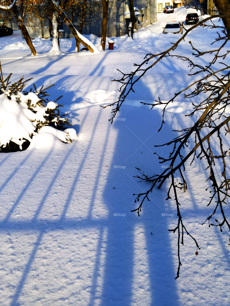 Shadow of a man in the snow against the background of snowy trees
