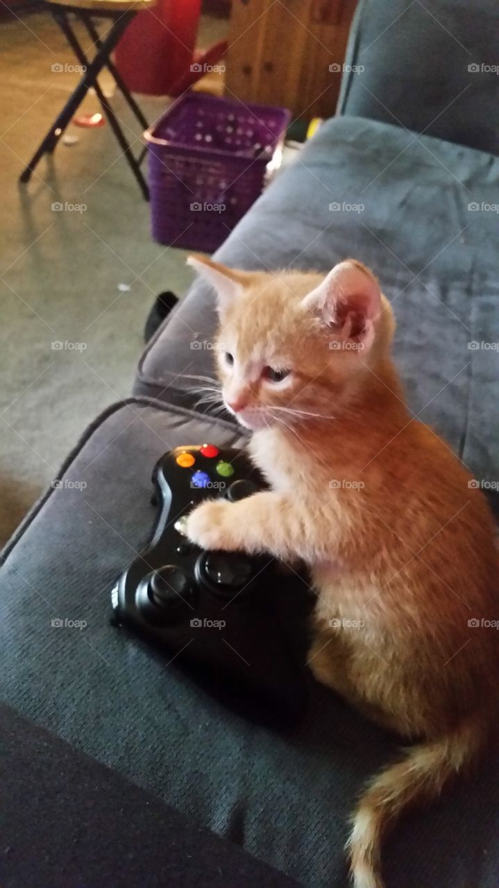 Sansa playing Xbox