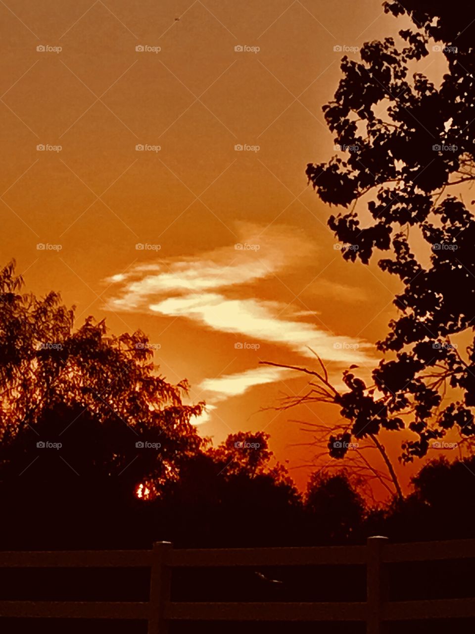 Peaceful Sunset with a glowing sky after a very hot Summer day then appears Z in the evening sky. A sign of Latent Heat, Super Cooling of the Atmosphere. What a Beautiful closing to a Gorgeous Sunset.