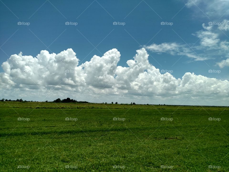 Landscape, No Person, Agriculture, Rural, Field