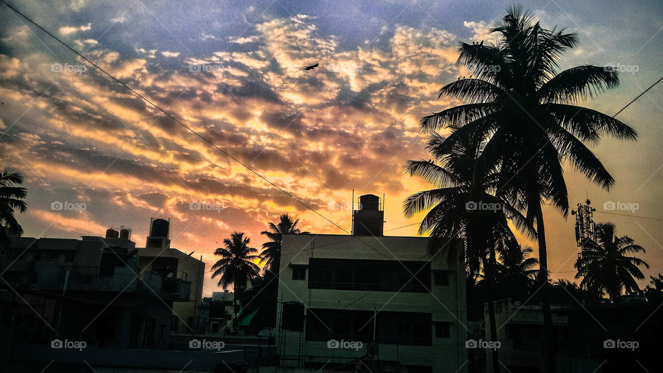 sunset...hdr....clouds...sky....tree.... tropical....birds.