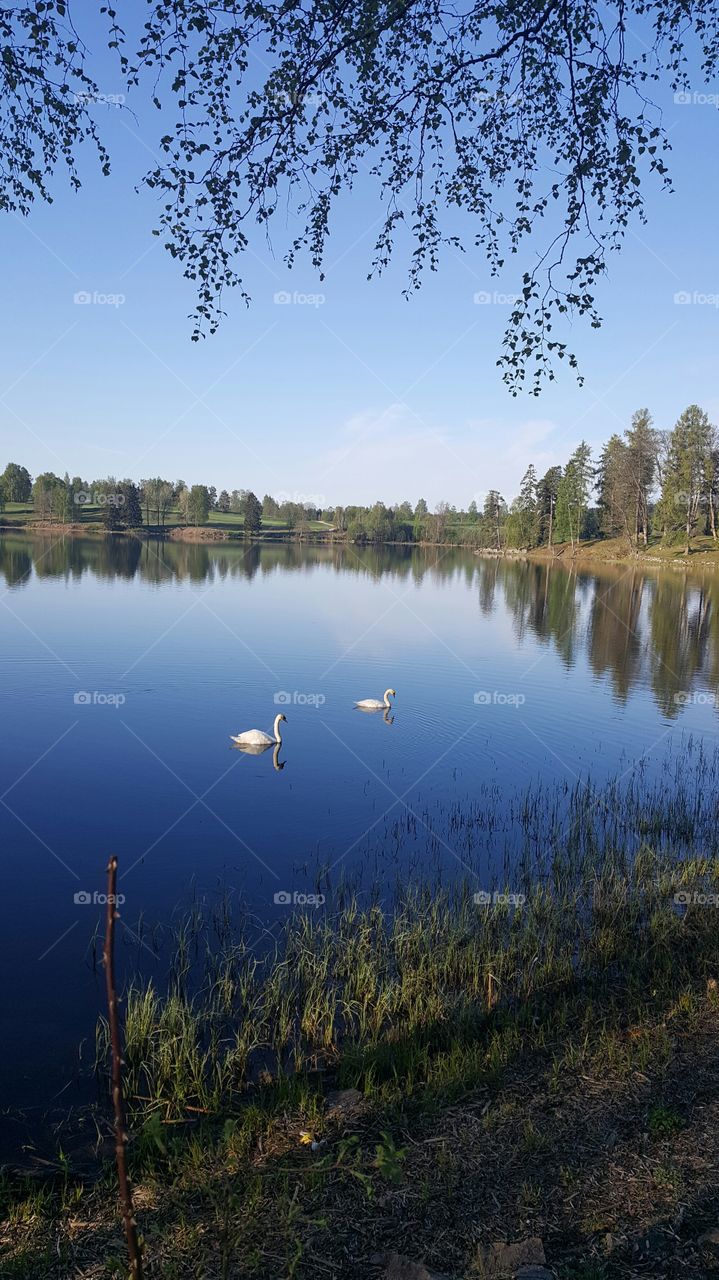 Bogstadvannet, Oslo. Norway