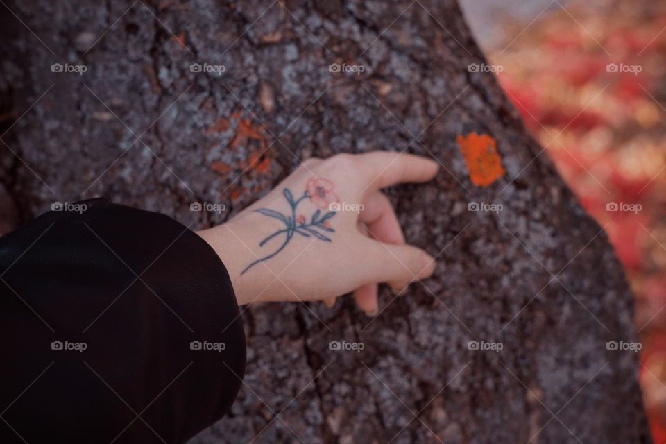 A woman's hand with a tattoo touches the bark of a tree
