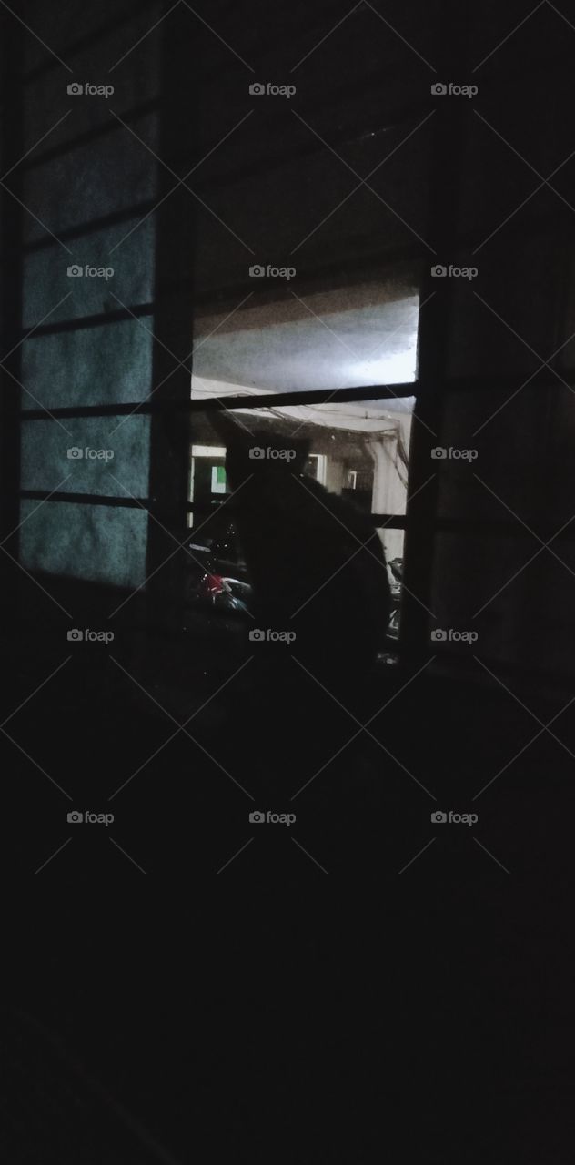 silhouettes and shadows