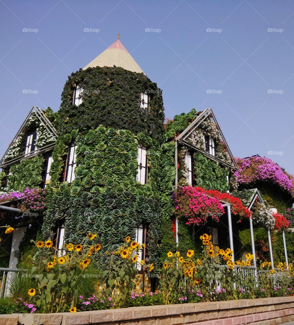 flora house