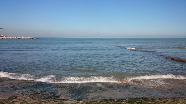 blue and wave