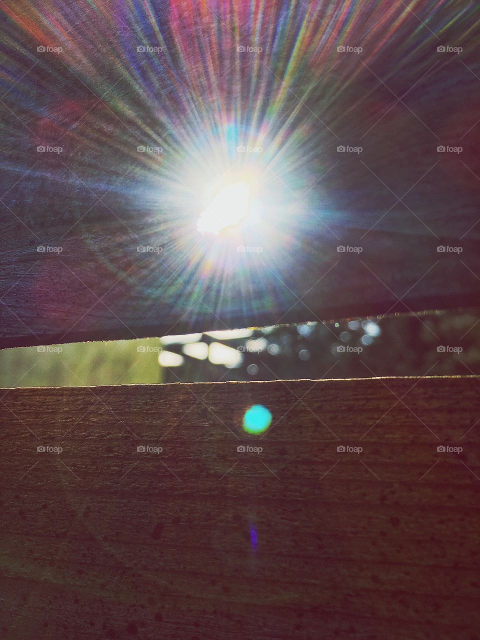 Captured with iPhone 6s Plus 