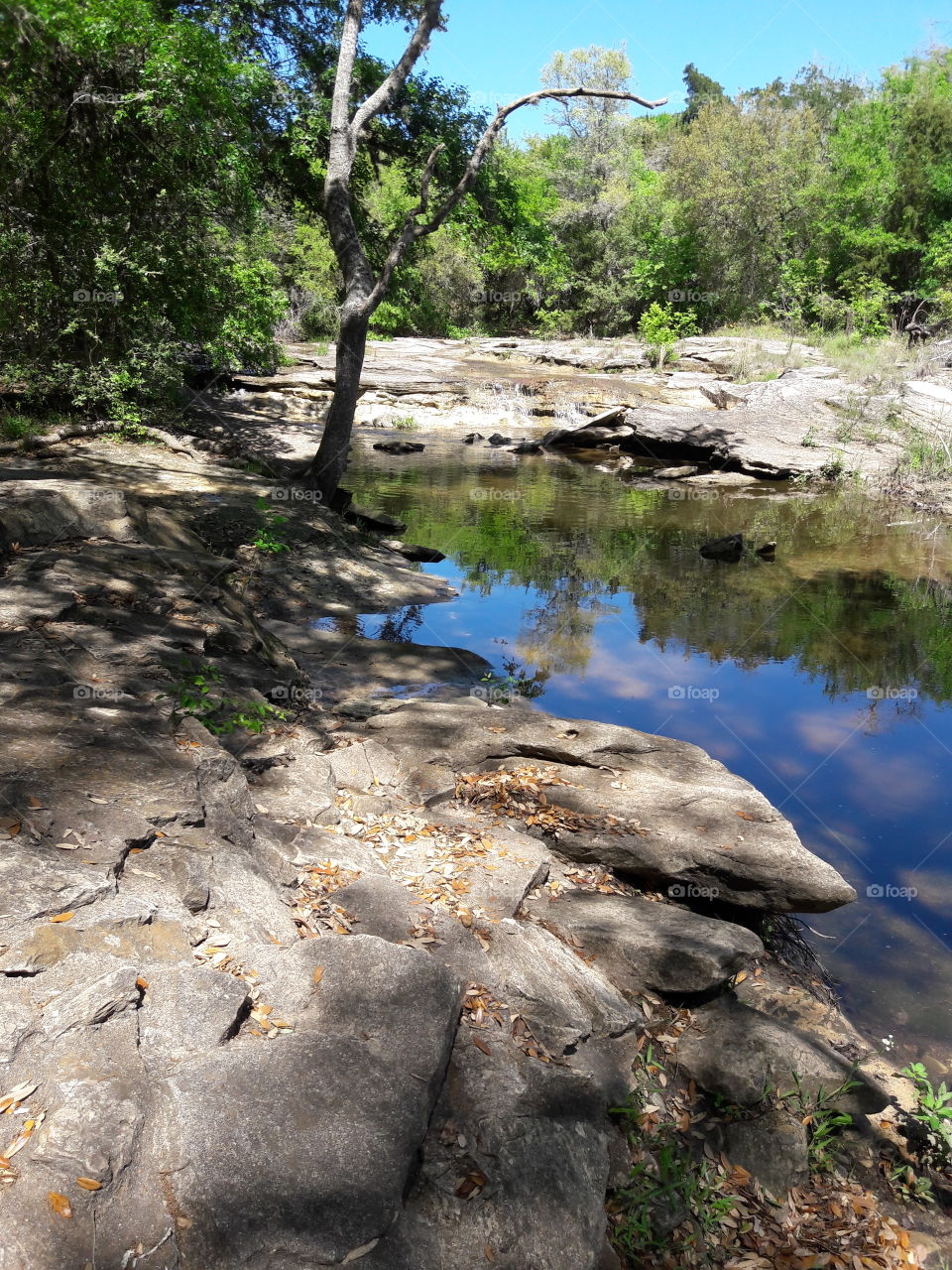 roadside park out of Brenham.