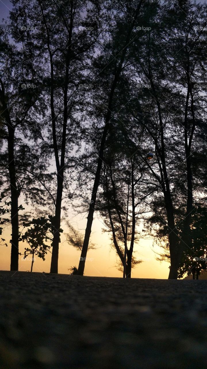 sandy beach photos sky and sea