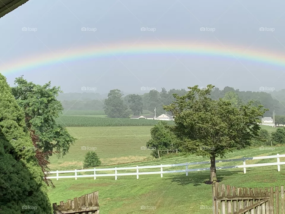 Rainbow 