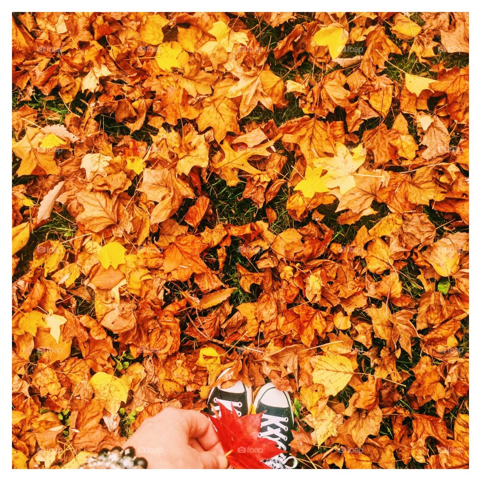 Standing in Autumn Leaves