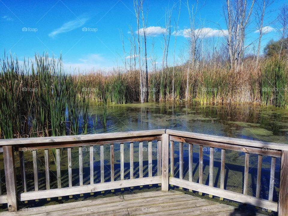 Deck View