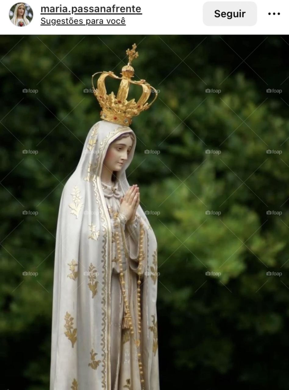 🙏 🇪🇸 Oh Maria, ruega por nosotros que recurrimos a ti.  Amén.  🇧🇷 Ó Maria, Nossa Senhora, rogai por nós que recorremos a vós. Amém. / 🇺🇸 O Mary, pray for us that we turn to you.  Amen. / 🇮🇹 O Madonna, prega per noi che ci rivolgiamo a te. Amen. 