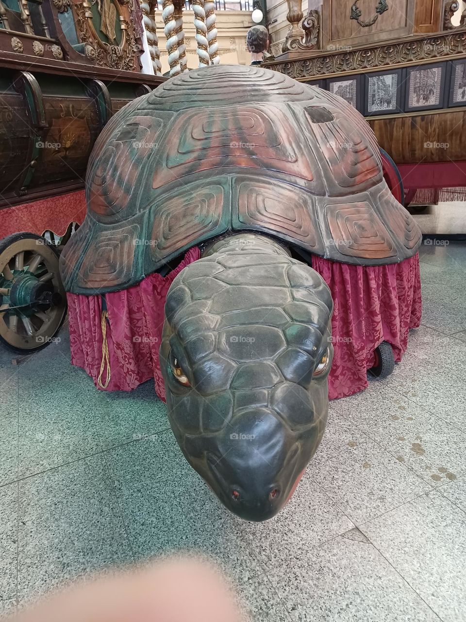 tortuga