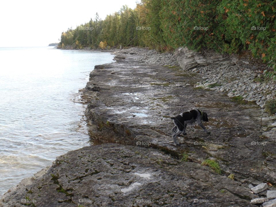 Drummond Island, Michigan 