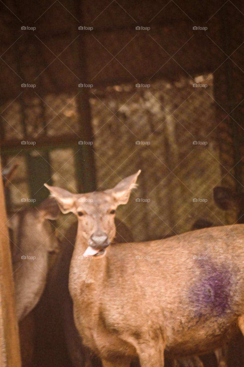 funny click 🤭🤣