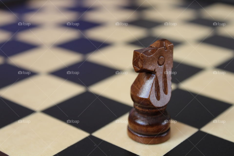 horse on chess board